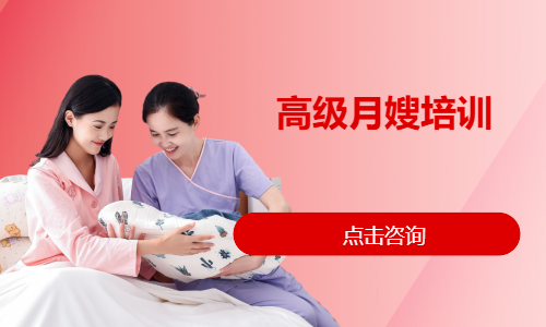 高级月嫂培训
