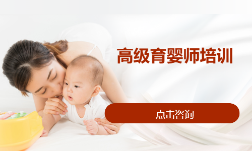 高级育婴师培训