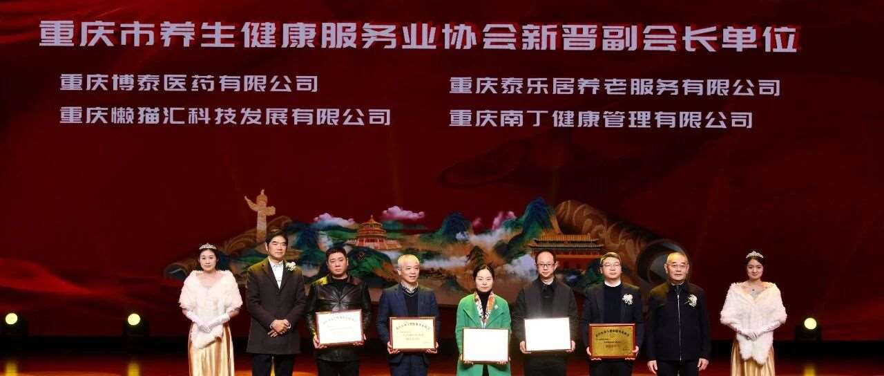 不止于授牌：懒猫在重庆联合参与专委会，指向行业规范与赋能