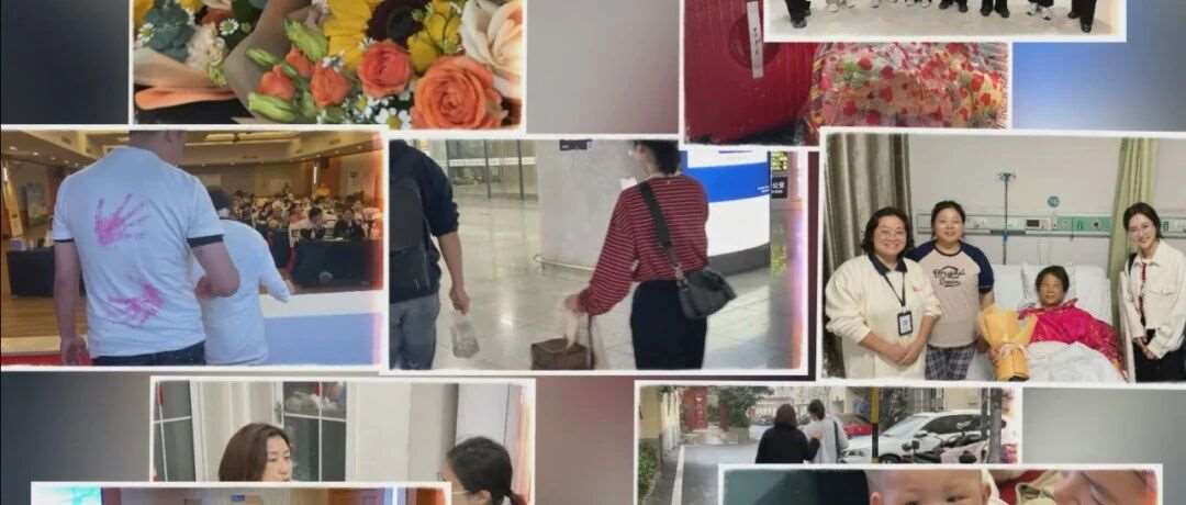 懒猫2024：年度璀璨之旅，从盛放到卓越